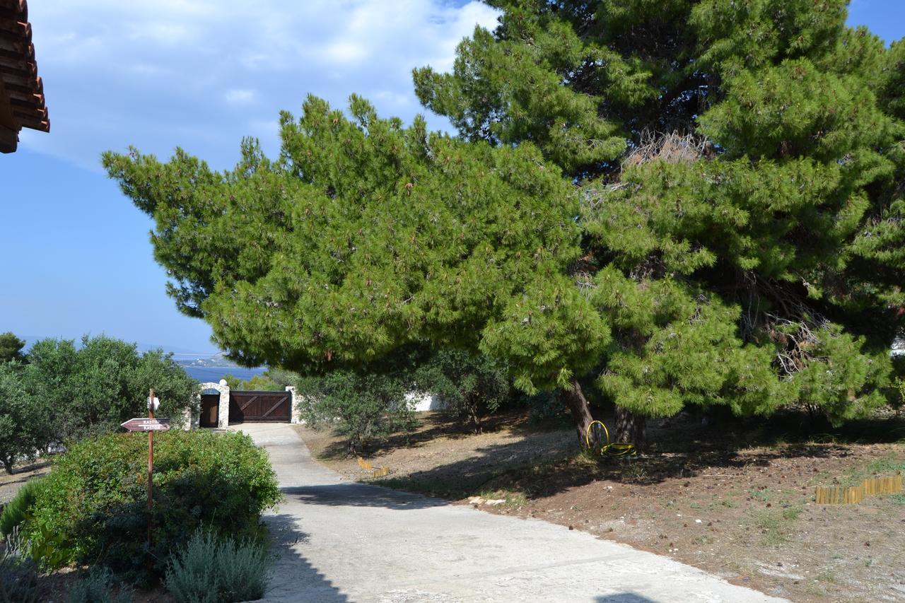 Filoxenos Estia-houses Country house Porto Heli